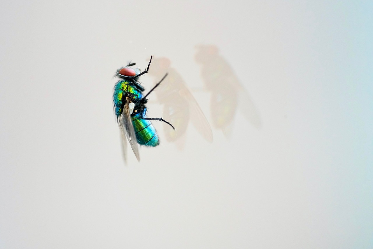 天天炫斗血爺戰(zhàn)力傲視群雄，最新戰(zhàn)力震撼來(lái)襲