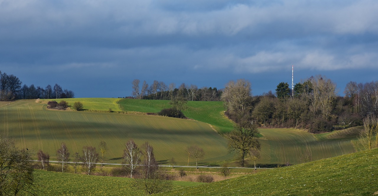 上海土地拍賣最新動(dòng)態(tài)，市場(chǎng)走勢(shì)、政策影響與未來(lái)展望