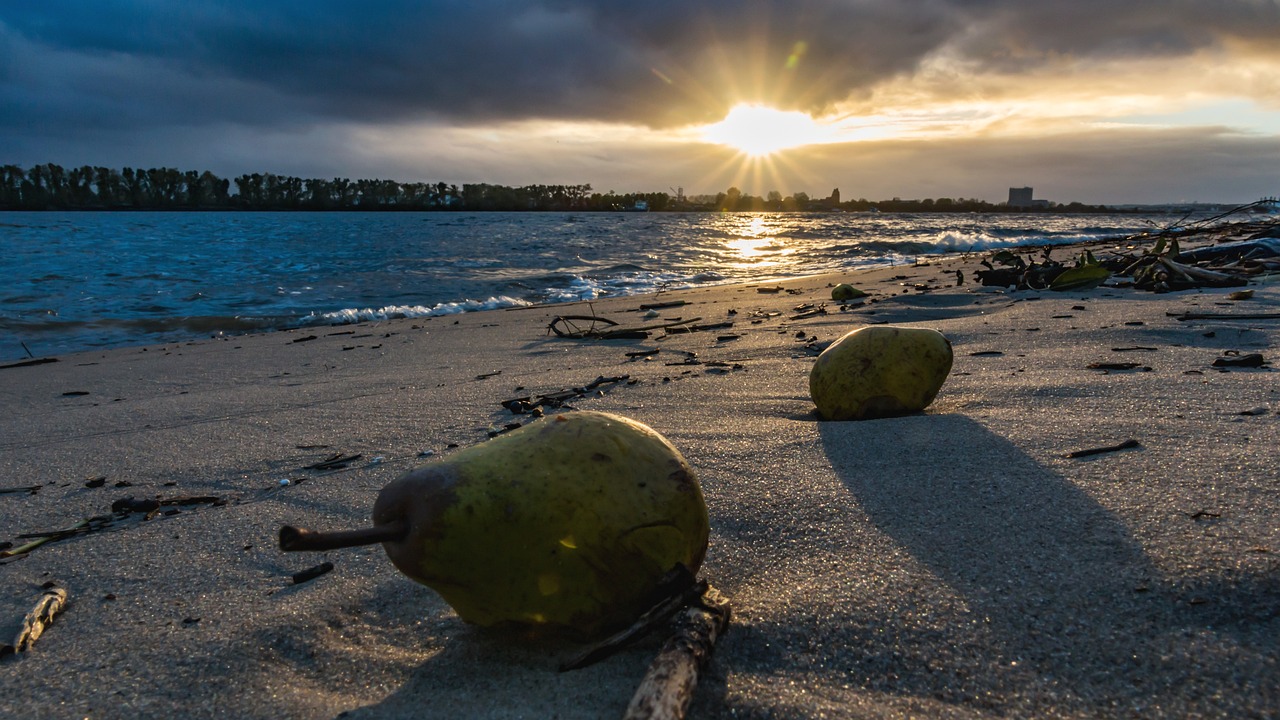 沅江市最新干部任免消息及動(dòng)態(tài)更新