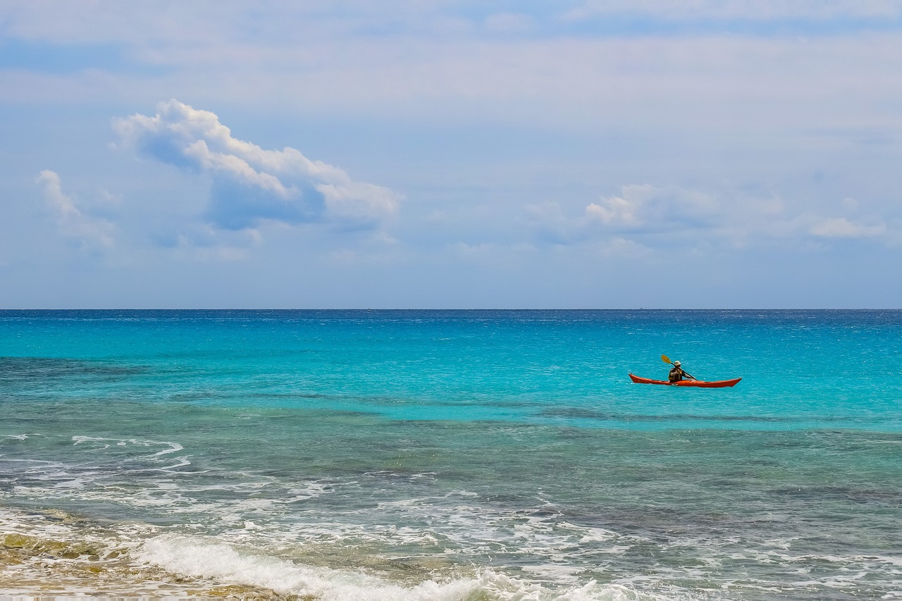 光緒元寶銅幣最新動(dòng)態(tài)，收藏市場(chǎng)的新焦點(diǎn)揭秘