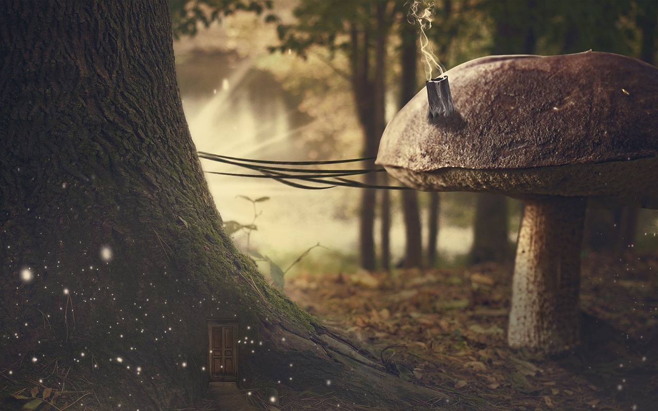 高考最新消息更新，最新動(dòng)態(tài)與變化解讀