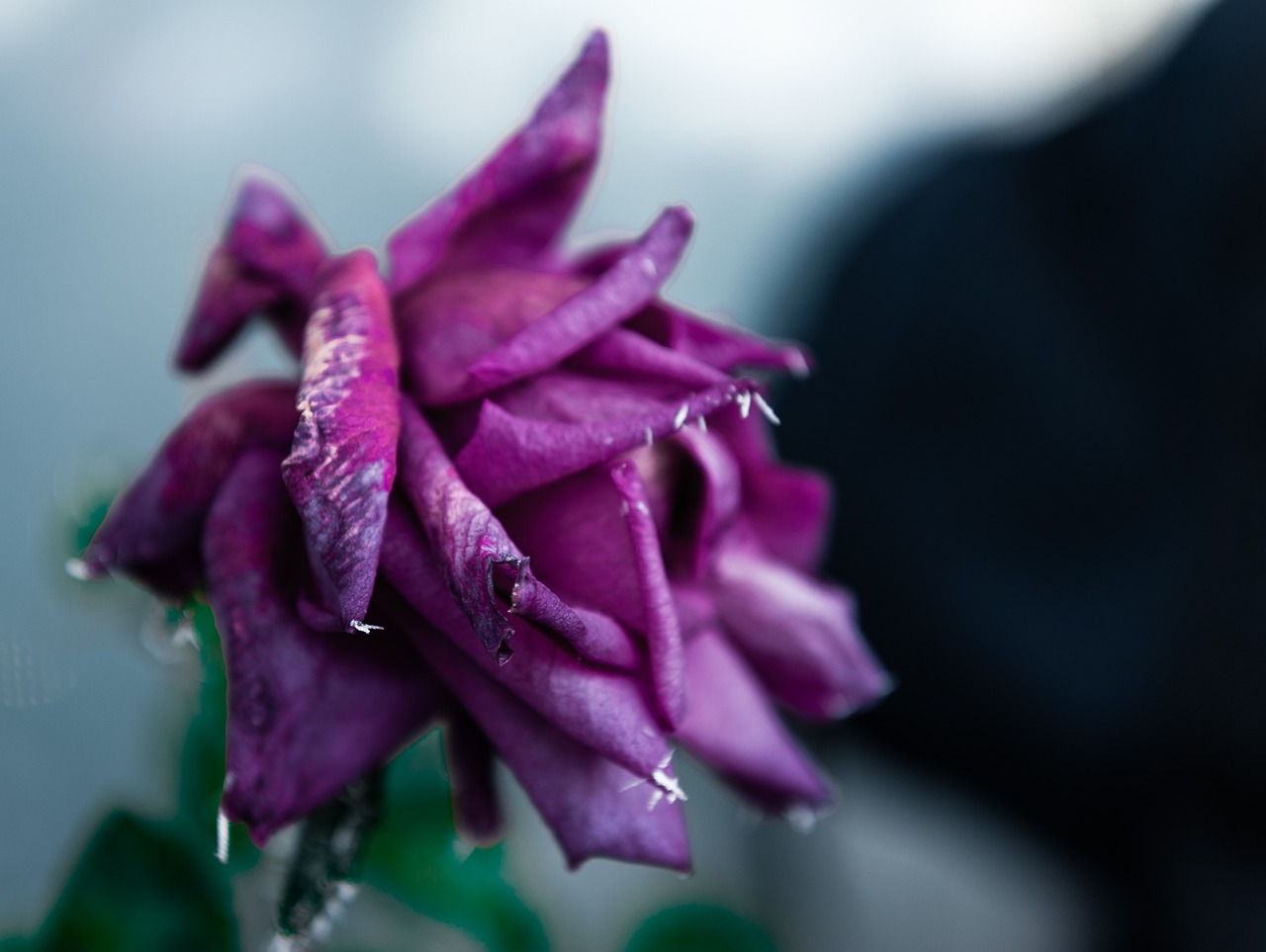 天津老年卡最新動(dòng)態(tài)，關(guān)愛老年人，打造便捷生活