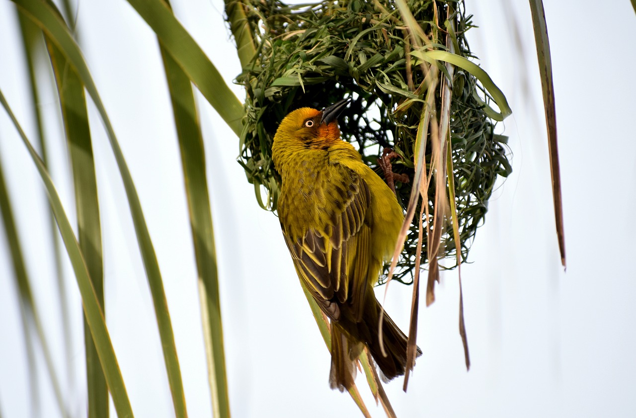 東莞建暉紙業(yè)最新招聘動態(tài)及職業(yè)發(fā)展探討，招聘信息與職業(yè)發(fā)展機(jī)會一覽