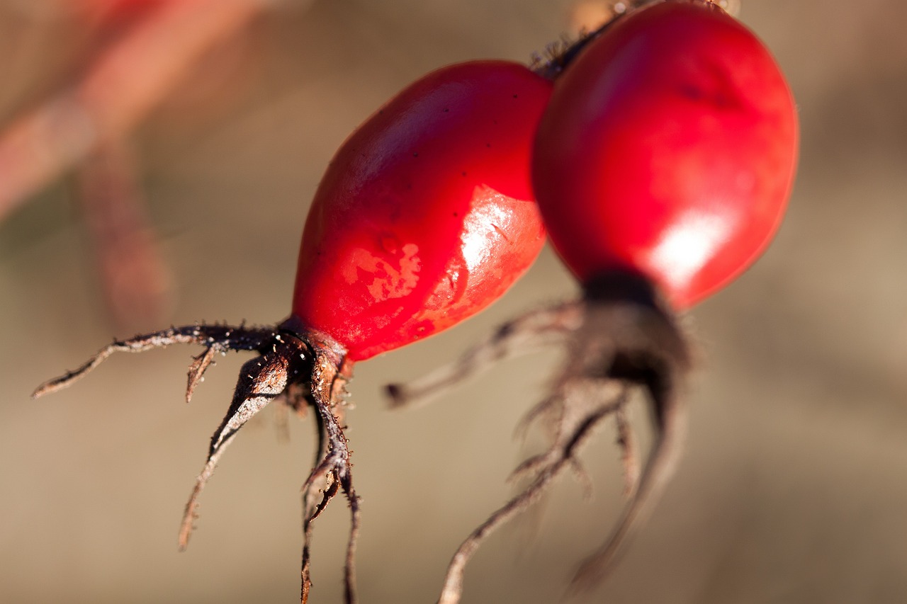 邳州工廠招工最新動態(tài)，探尋發(fā)展機(jī)遇，共筑美好未來