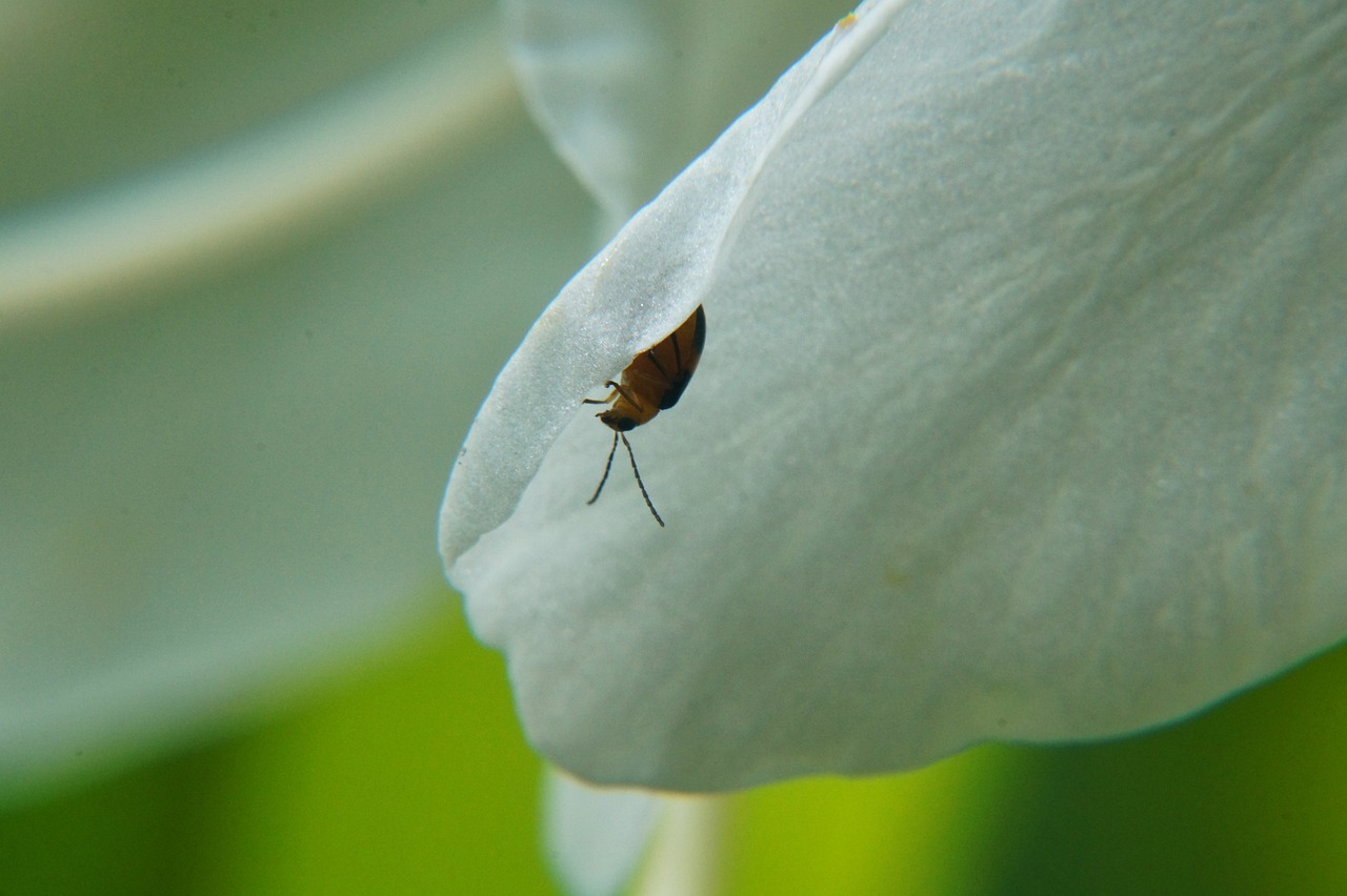 余江新聞最新消息深度報(bào)道，聚焦余江發(fā)展動(dòng)態(tài) 2017年年度報(bào)告