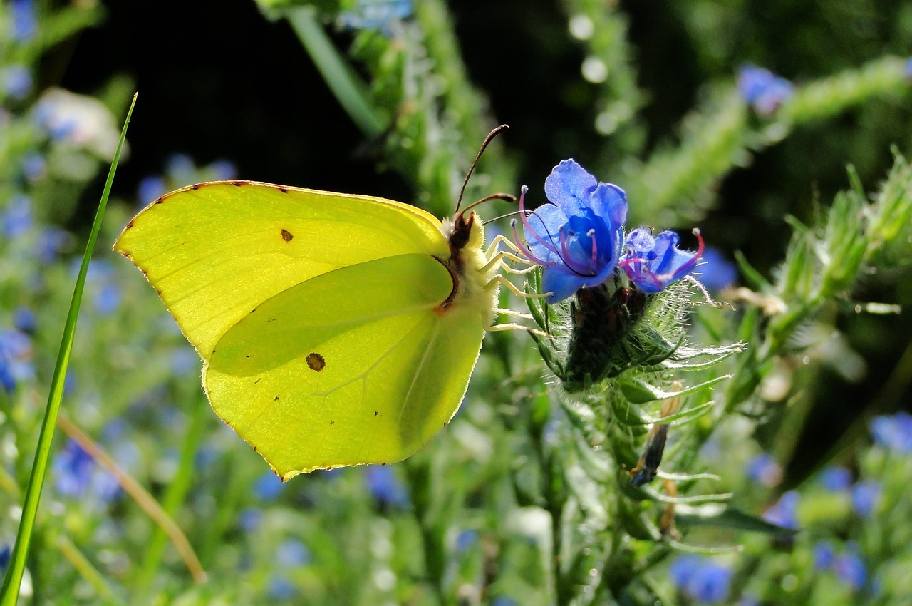 天津津南永旺最新狀況概覽，最新進展與動態(tài)更新