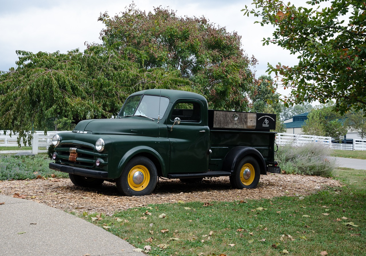 黑龍灘最新開發(fā)動態(tài)，未來繁榮序幕正式拉開！