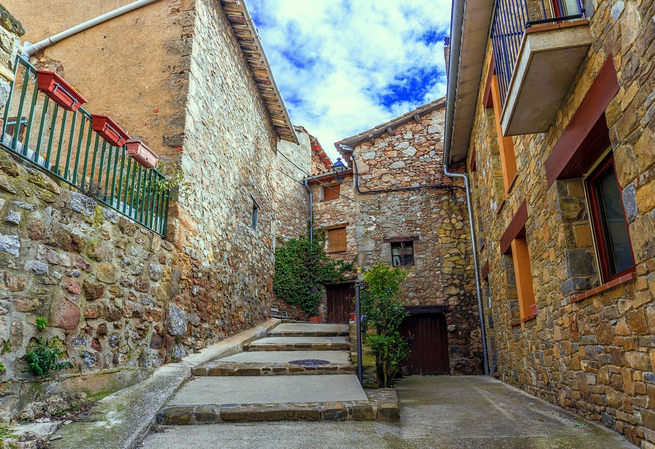 馮某針案最新進(jìn)展深度探究，最新動(dòng)態(tài)與情況更新（1.21版）