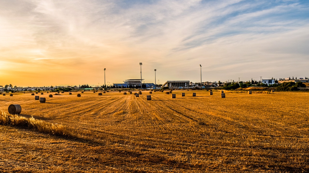 地稅機(jī)構(gòu)改革最新動態(tài)，深化稅務(wù)改革，優(yōu)化服務(wù)以提升效率