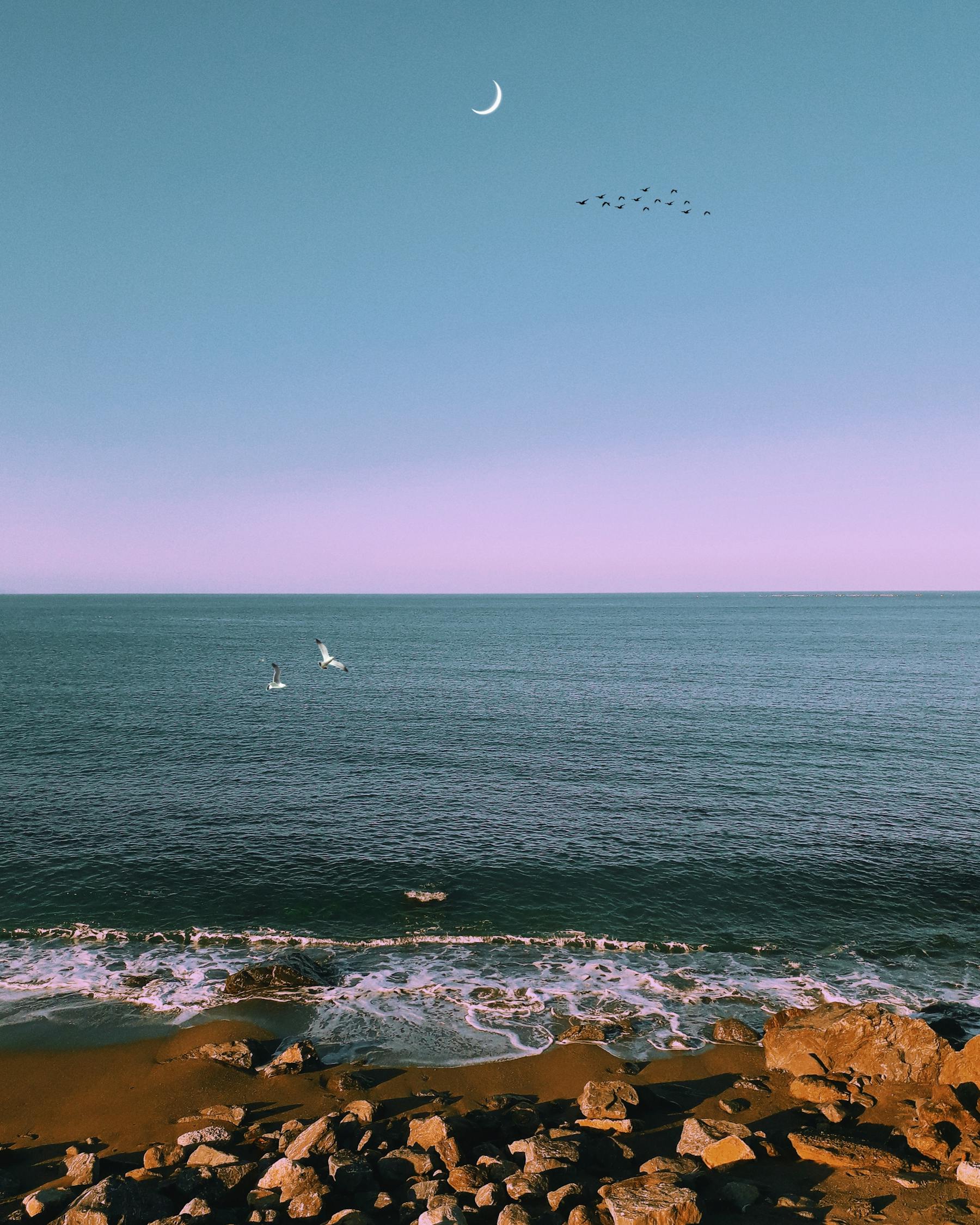 馬特波莫最新動態(tài)揭秘，引領(lǐng)前沿科技，開啟未來趨勢新篇章