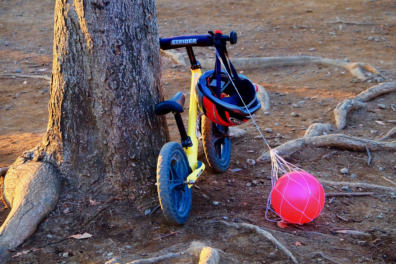 收養(yǎng)法修改最新動態(tài)，重塑收養(yǎng)制度，保障兒童權(quán)益
