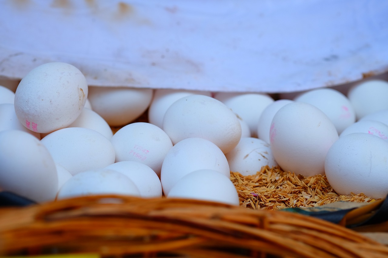 貴港白凹窩最新動態(tài)，城市發(fā)展的熱點(diǎn)與未來展望