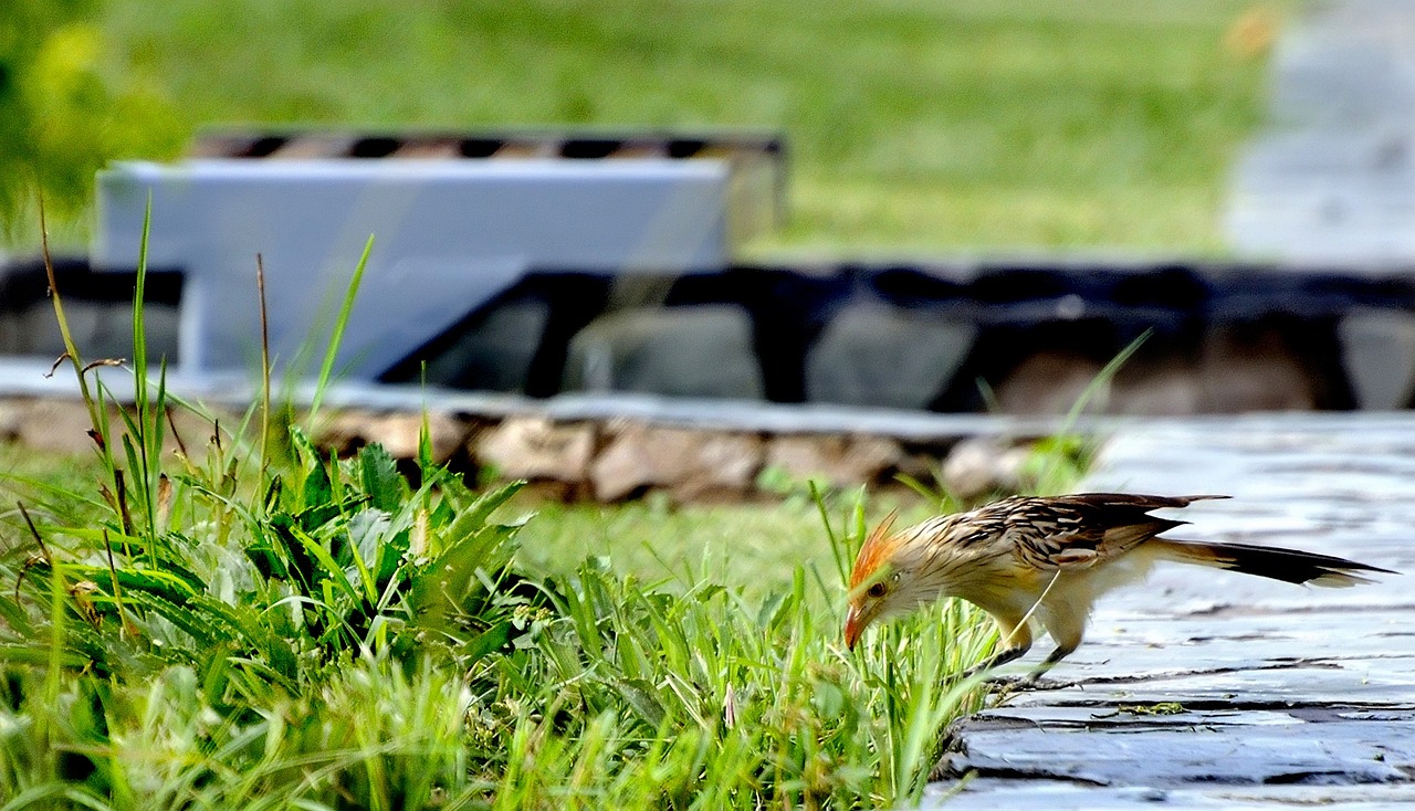 蚌埠匯金廣場最新動(dòng)態(tài)更新，最新消息一覽