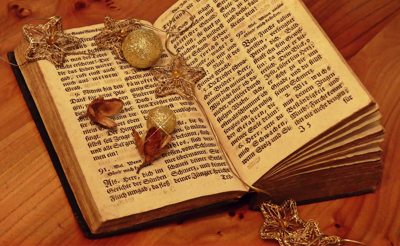 嫖文執(zhí)行者，探索與啟示的最新章節(jié)