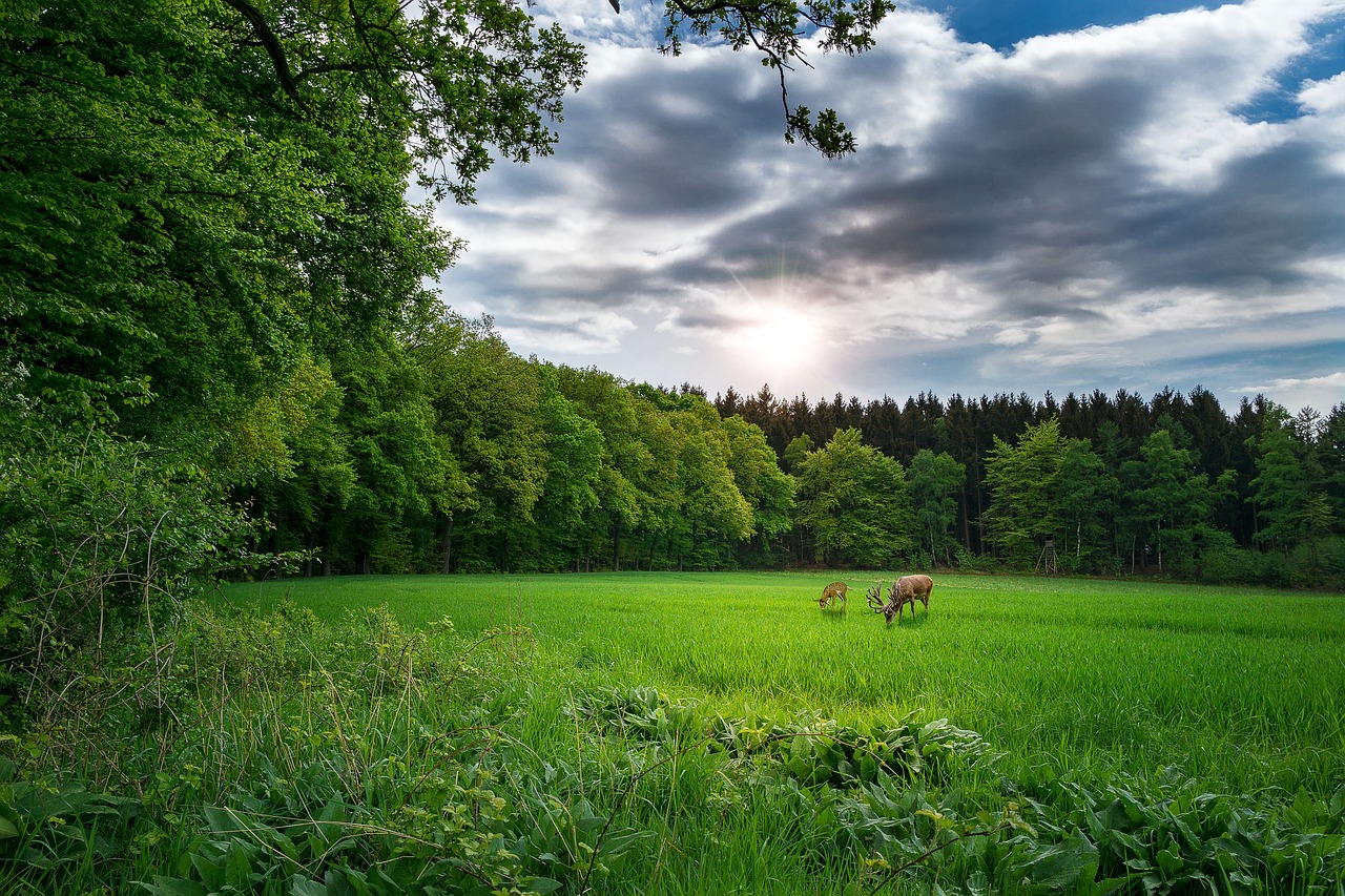 永州火電廠最新消息深度解析，動態(tài)與進展報告