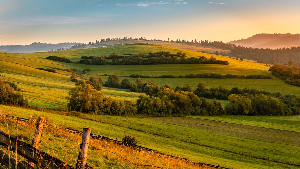 保定青竹園最新進展，城市綠色發(fā)展典范工程進展順利