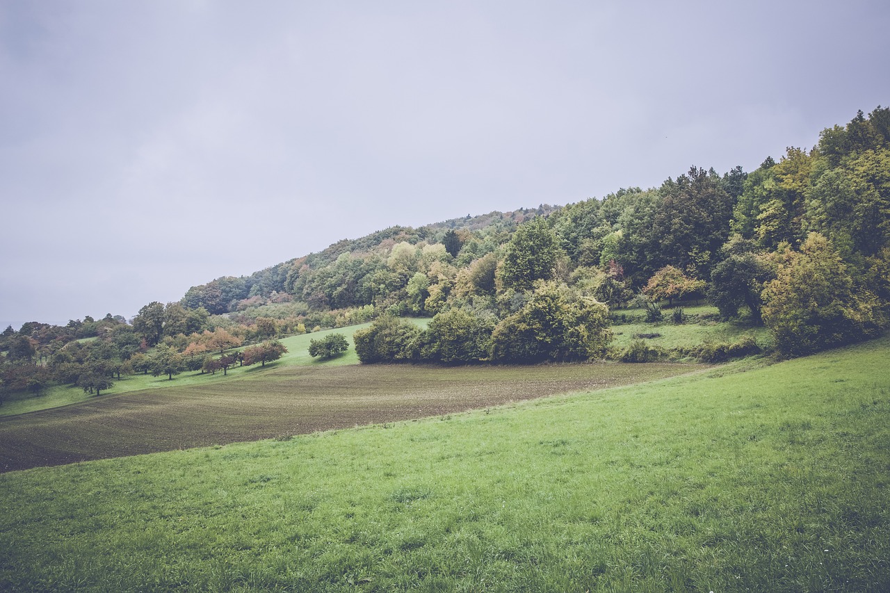上港孫祥最新動態(tài)及未來展望，賽場內外的關注焦點