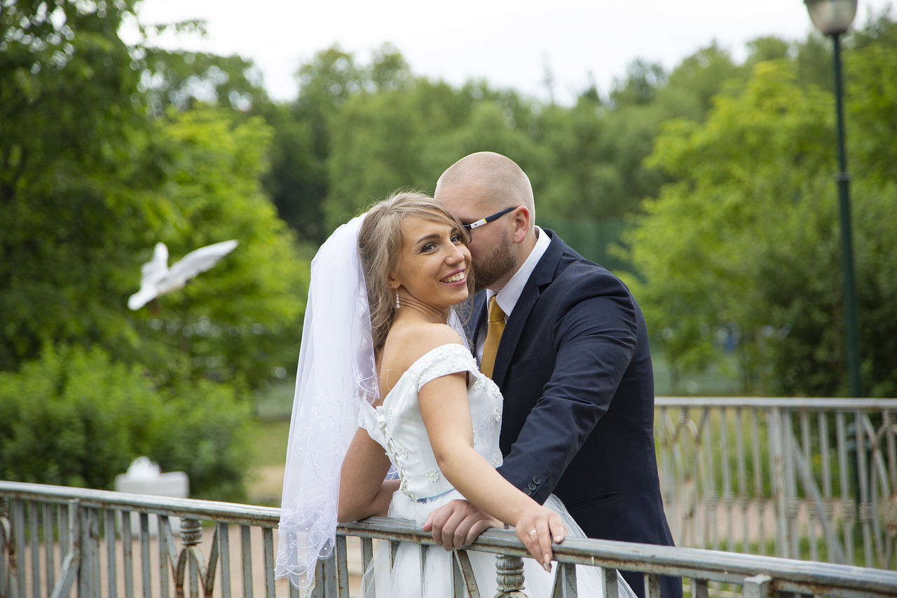 璀璨星光下的愛(ài)情故事，最新電視劇2016偶像劇獨(dú)家呈現(xiàn)