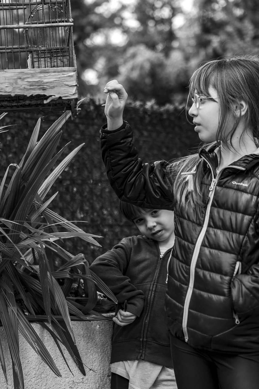 自然與科技融合的未來探索，自然界云棲最新動態(tài)揭秘