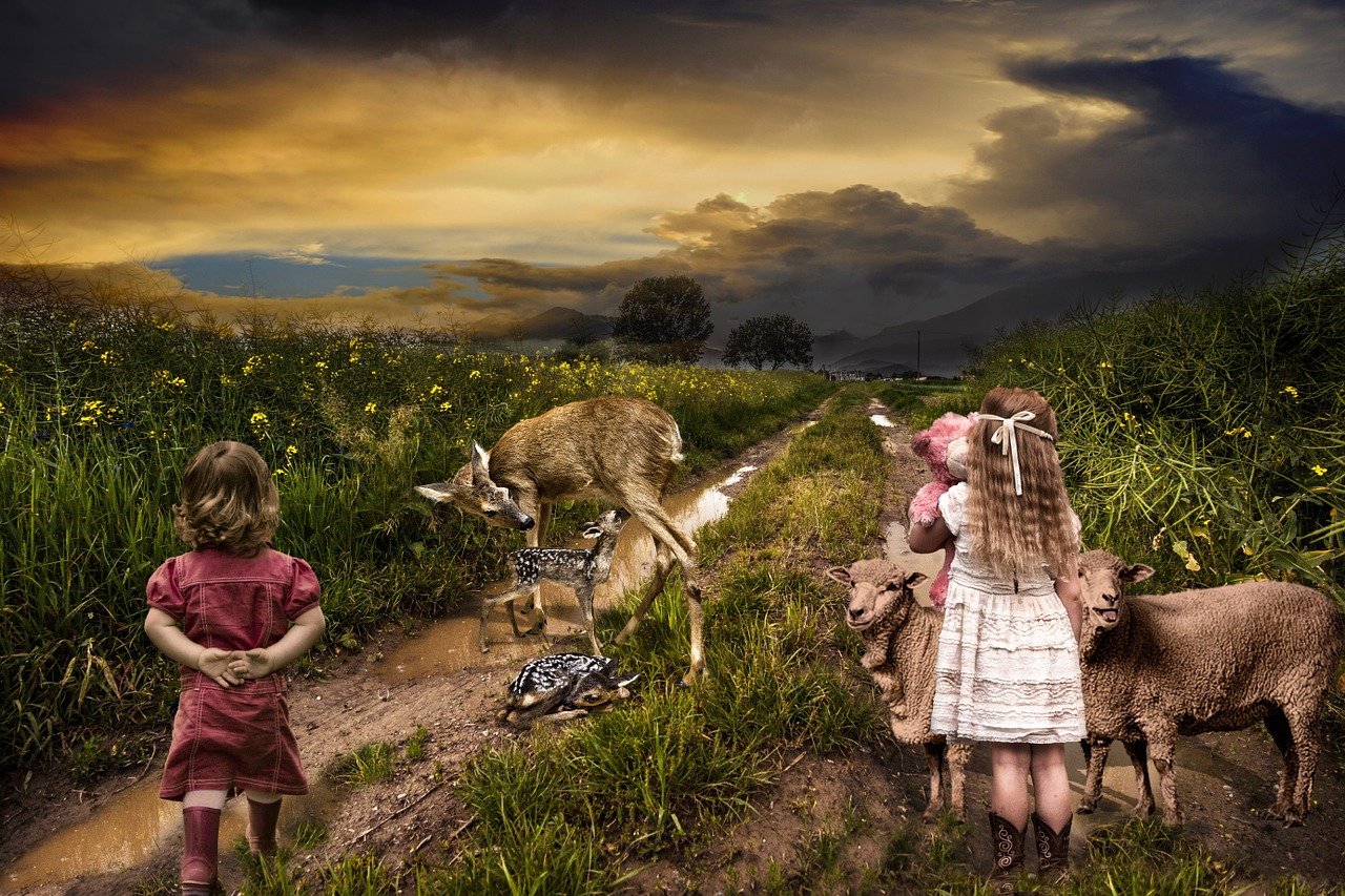 逍遙派最新章節(jié)，奇幻之旅探尋神秘世界