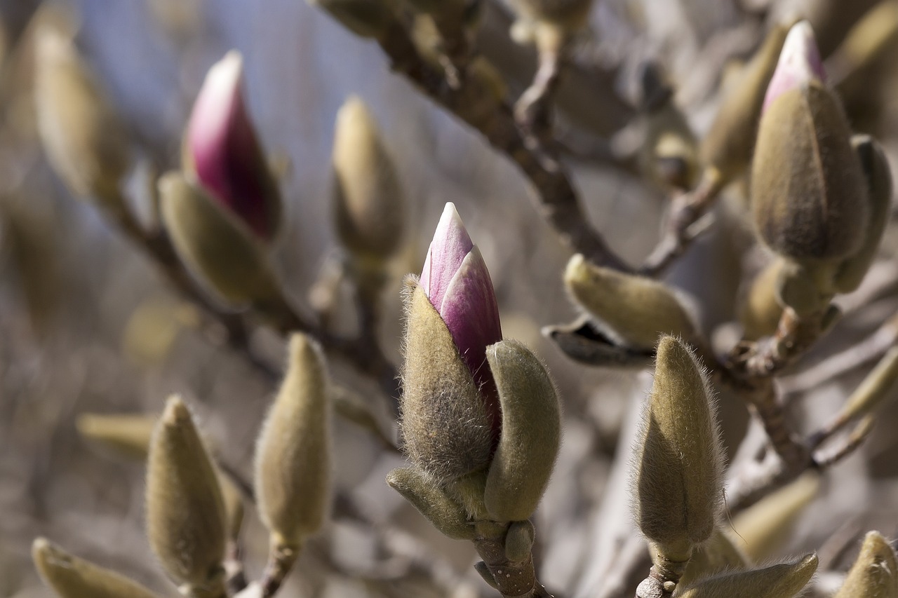 泗陽高鐵最新進(jìn)展報(bào)告更新，最新動(dòng)態(tài)揭秘！