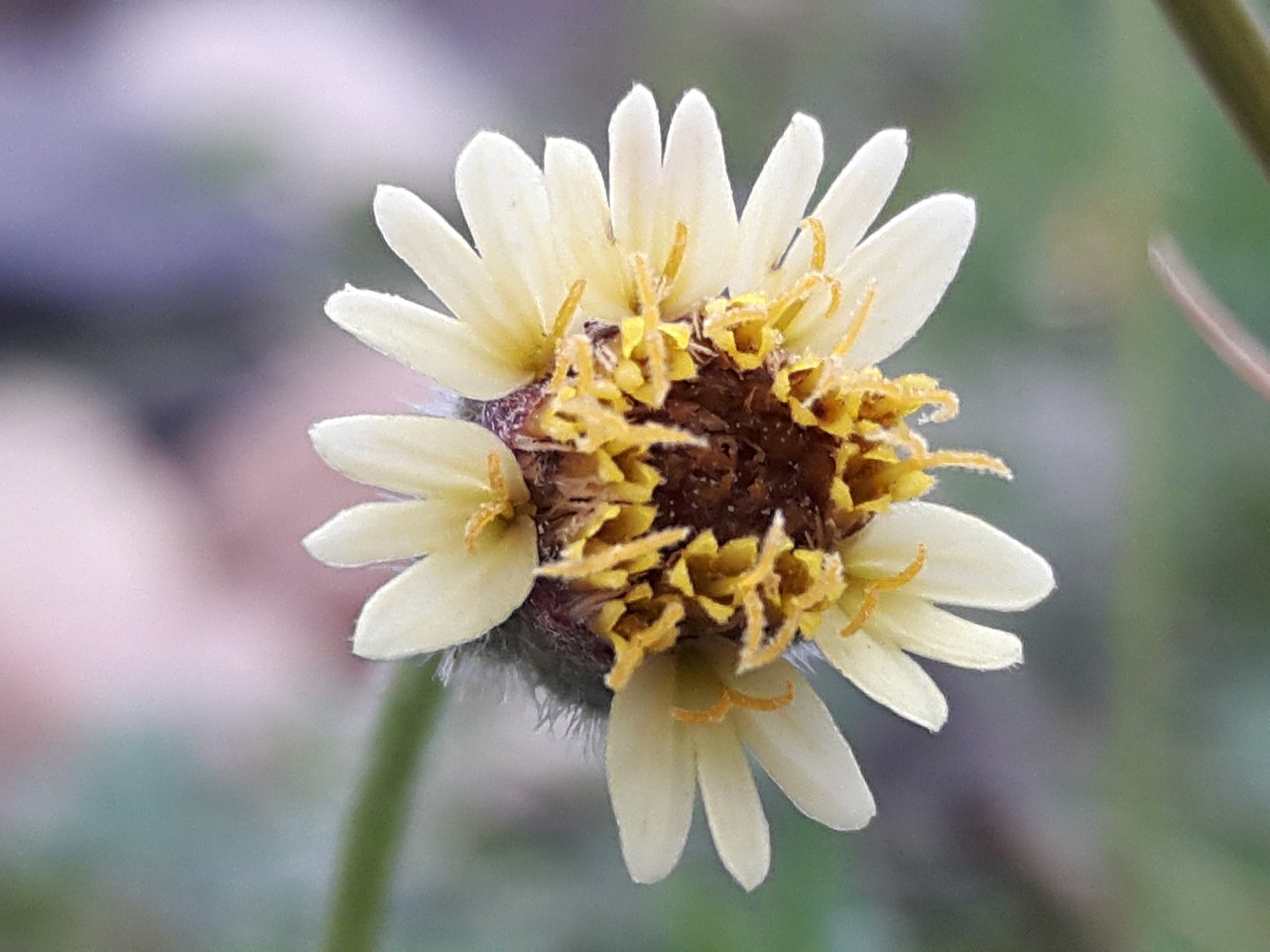 烏市地鐵招工最新動(dòng)態(tài)，城市軌道交通建設(shè)中的機(jī)遇與挑戰(zhàn)并存