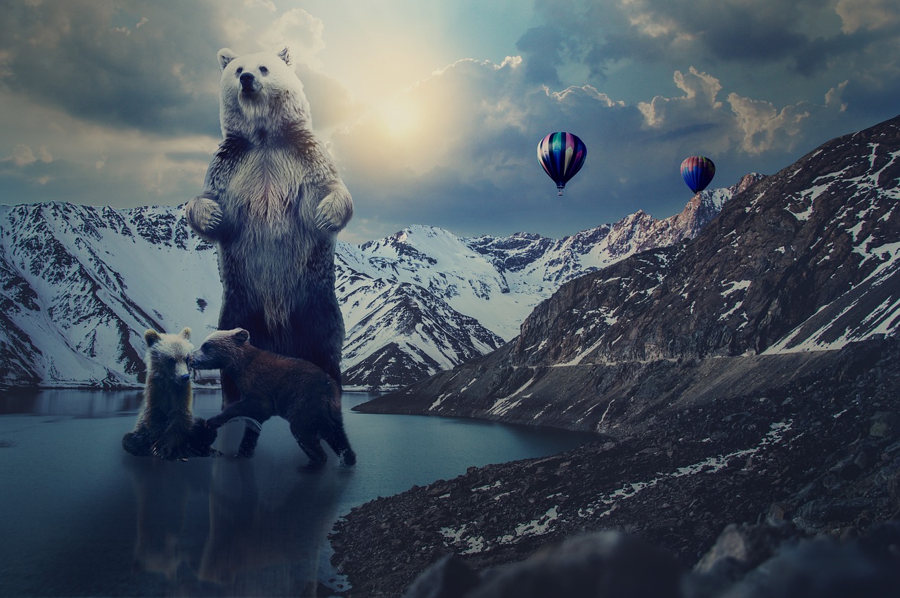 帝王雷最新版本下載，探索與體驗(yàn)之旅