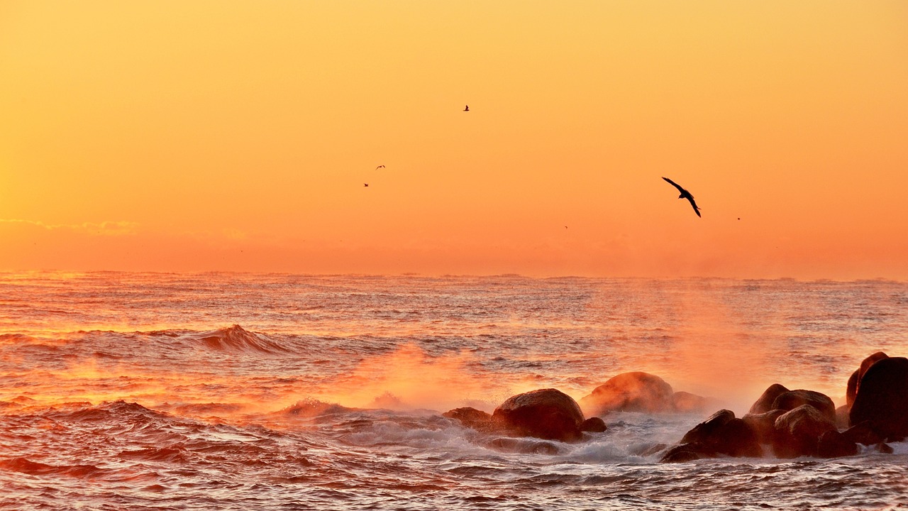 舟山出海捕魚最新招聘啟事，探索海洋的機遇與挑戰(zhàn)