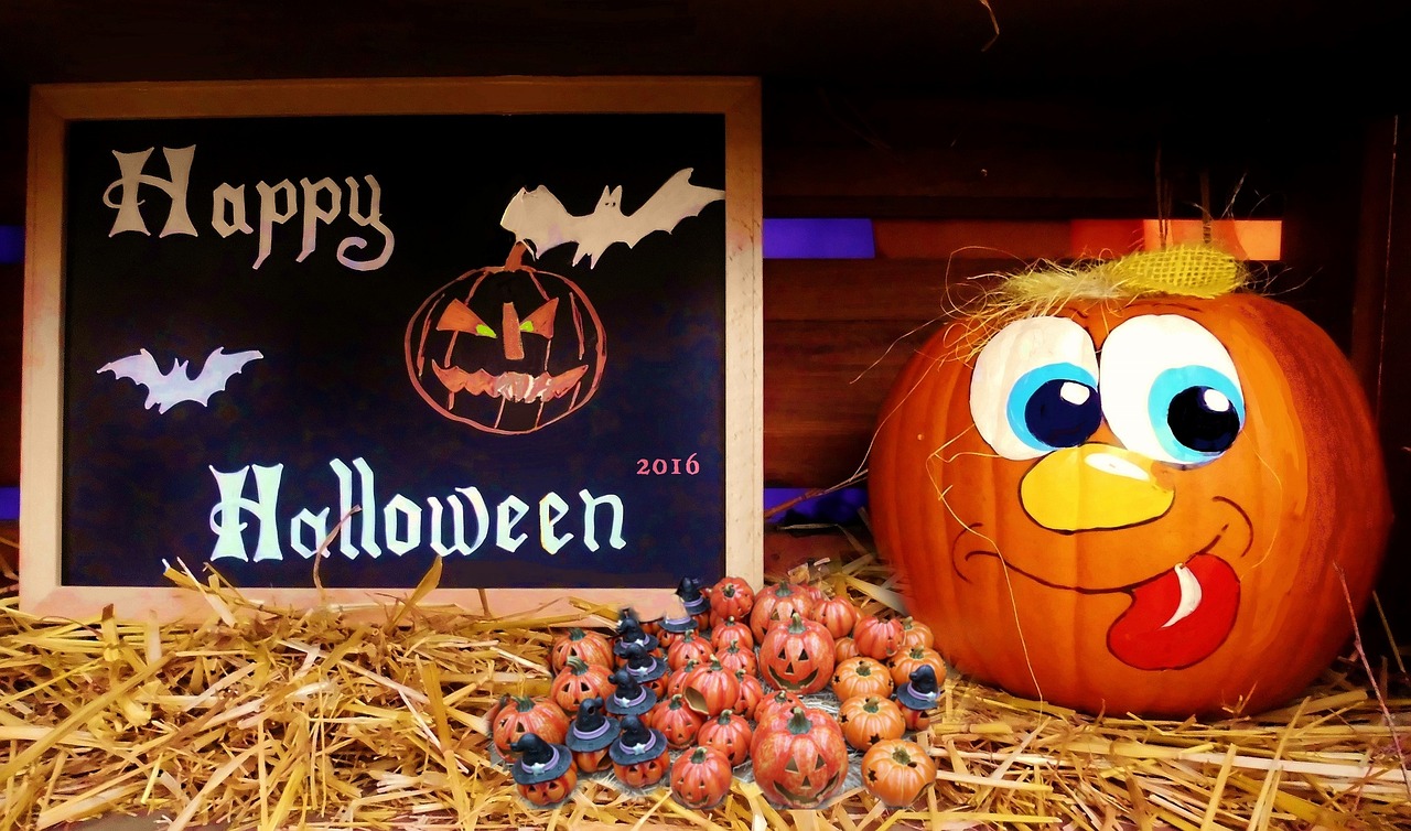 龍潤(rùn)灣美最新動(dòng)態(tài)揭秘，揭開(kāi)這片美景的神秘面紗