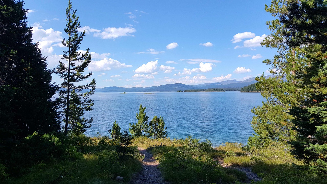 青娛樂最新地址探尋之旅，探索最新動態(tài)與娛樂盛宴的門戶