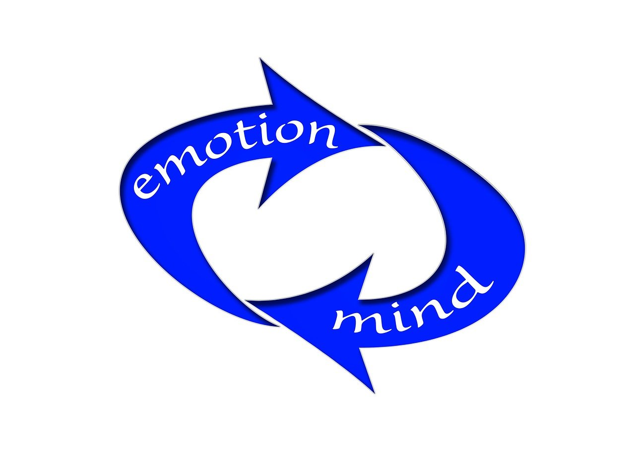 哈佛W01最新消息，引領(lǐng)教育創(chuàng)新與未來(lái)發(fā)展