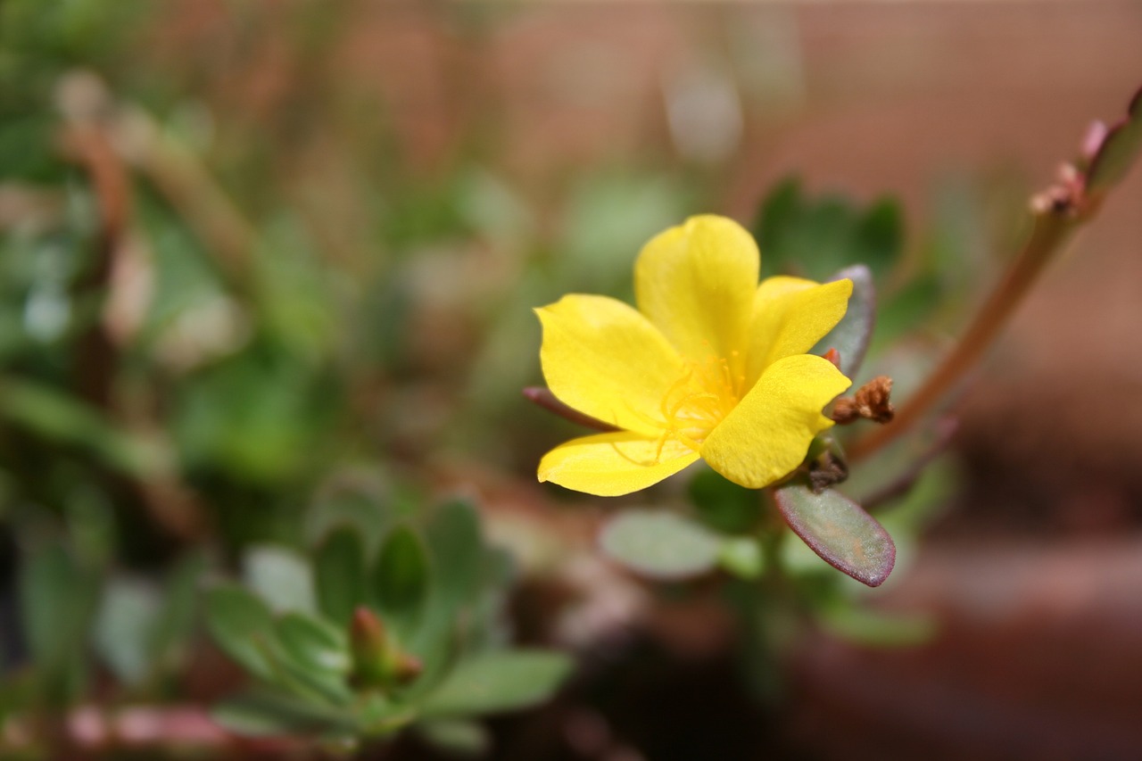 威海泊于水庫最新動(dòng)態(tài)，進(jìn)展、影響與展望