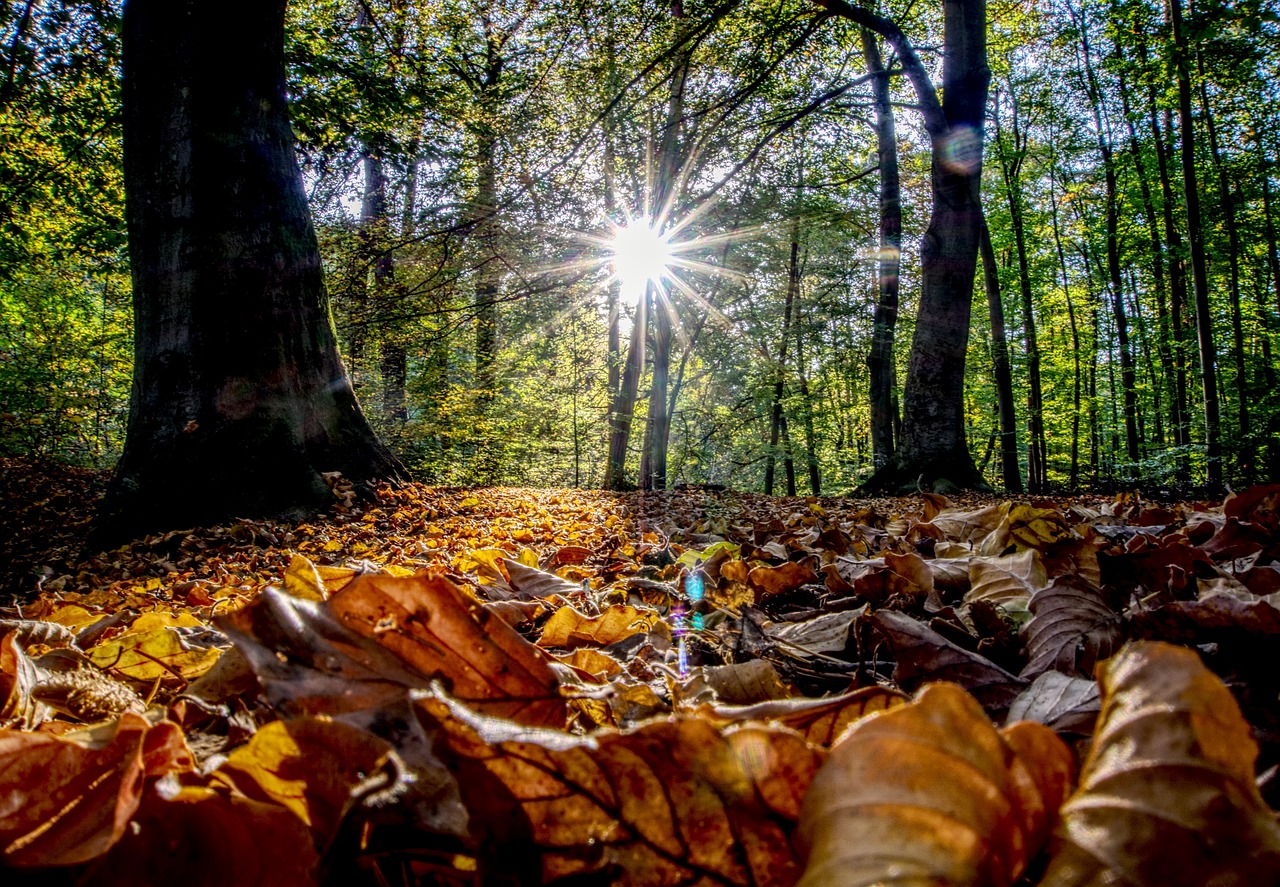 古劍奇譚三最新動(dòng)態(tài)揭秘，新內(nèi)容、玩法與體驗(yàn)全解析