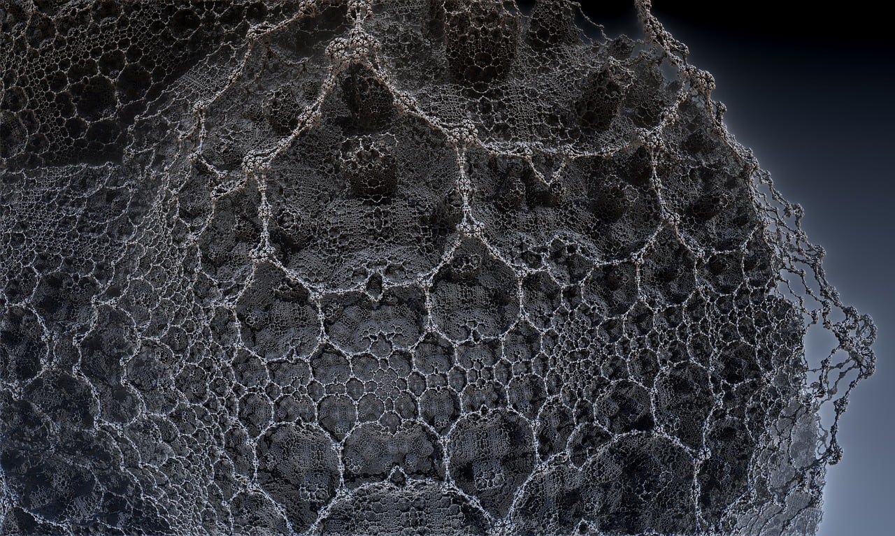 遼寧隋顯利最新動(dòng)態(tài)，傳奇人物的嶄新篇章