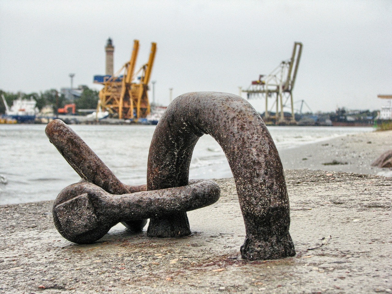 大連外經(jīng)貿(mào)最新消息概覽，最新動態(tài)與發(fā)展分析