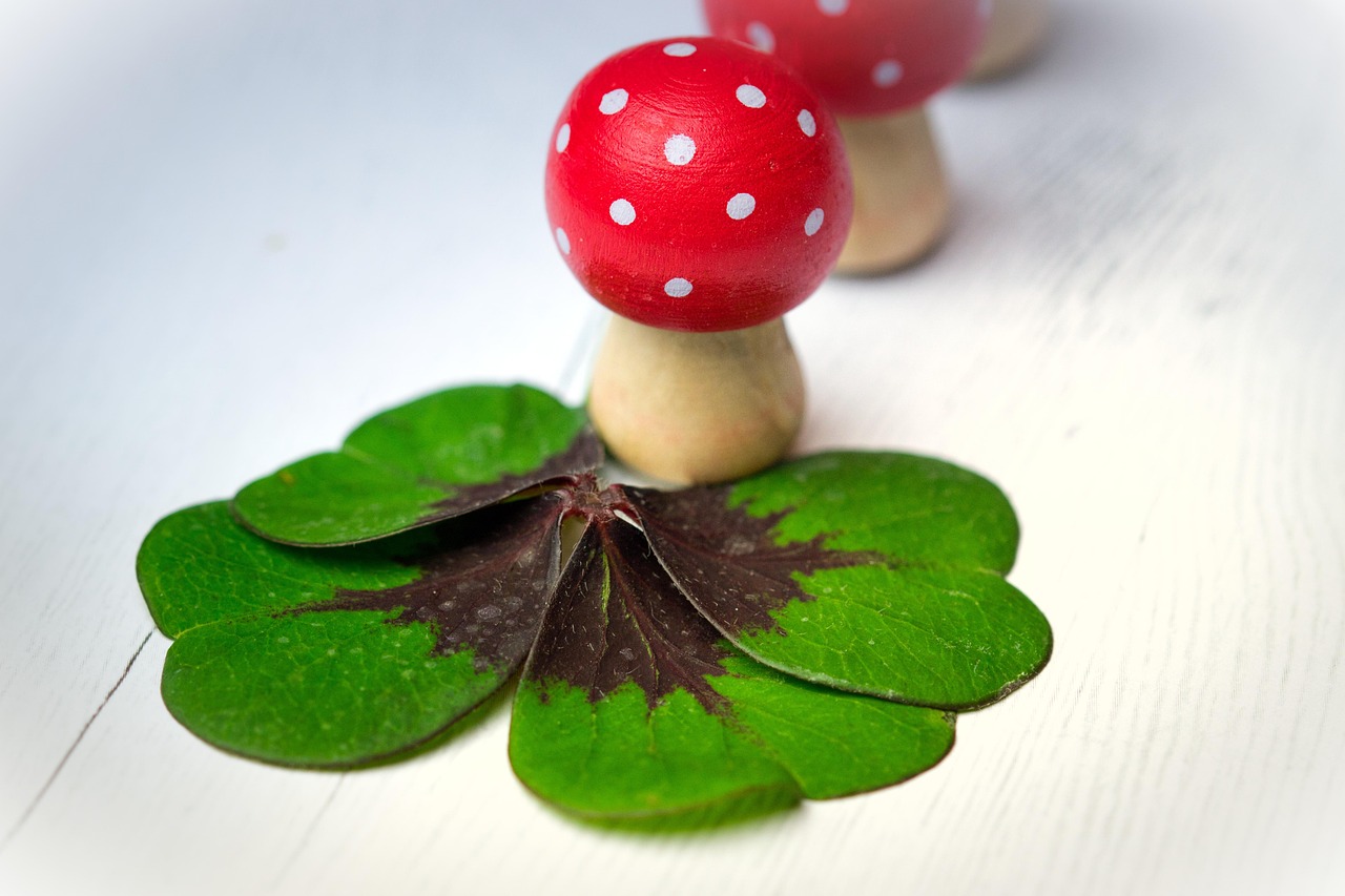 華清御園最新動(dòng)態(tài)，展現(xiàn)獨(dú)特魅力與未來發(fā)展藍(lán)圖揭秘