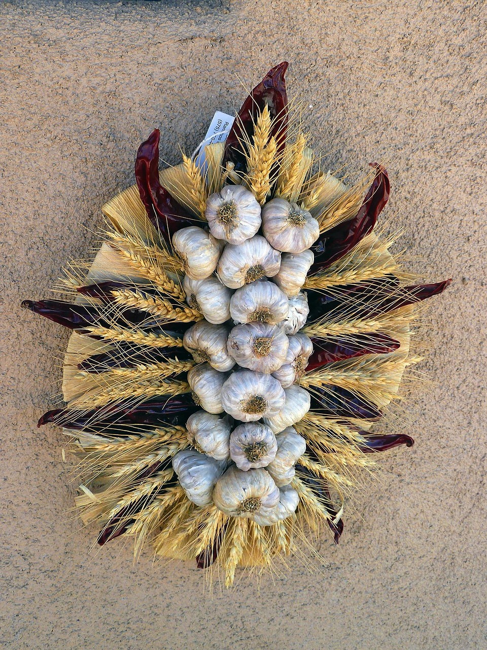 京北生態(tài)新城最新動態(tài)，綠色發(fā)展璀璨明珠的崛起