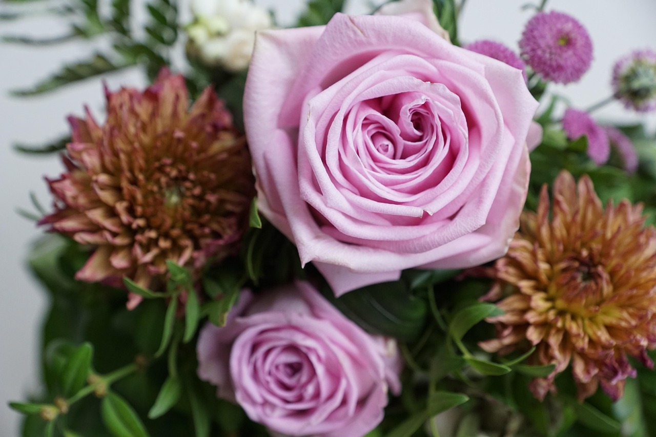 金谷美麗城最新動(dòng)態(tài)，揭開未來繁華序幕