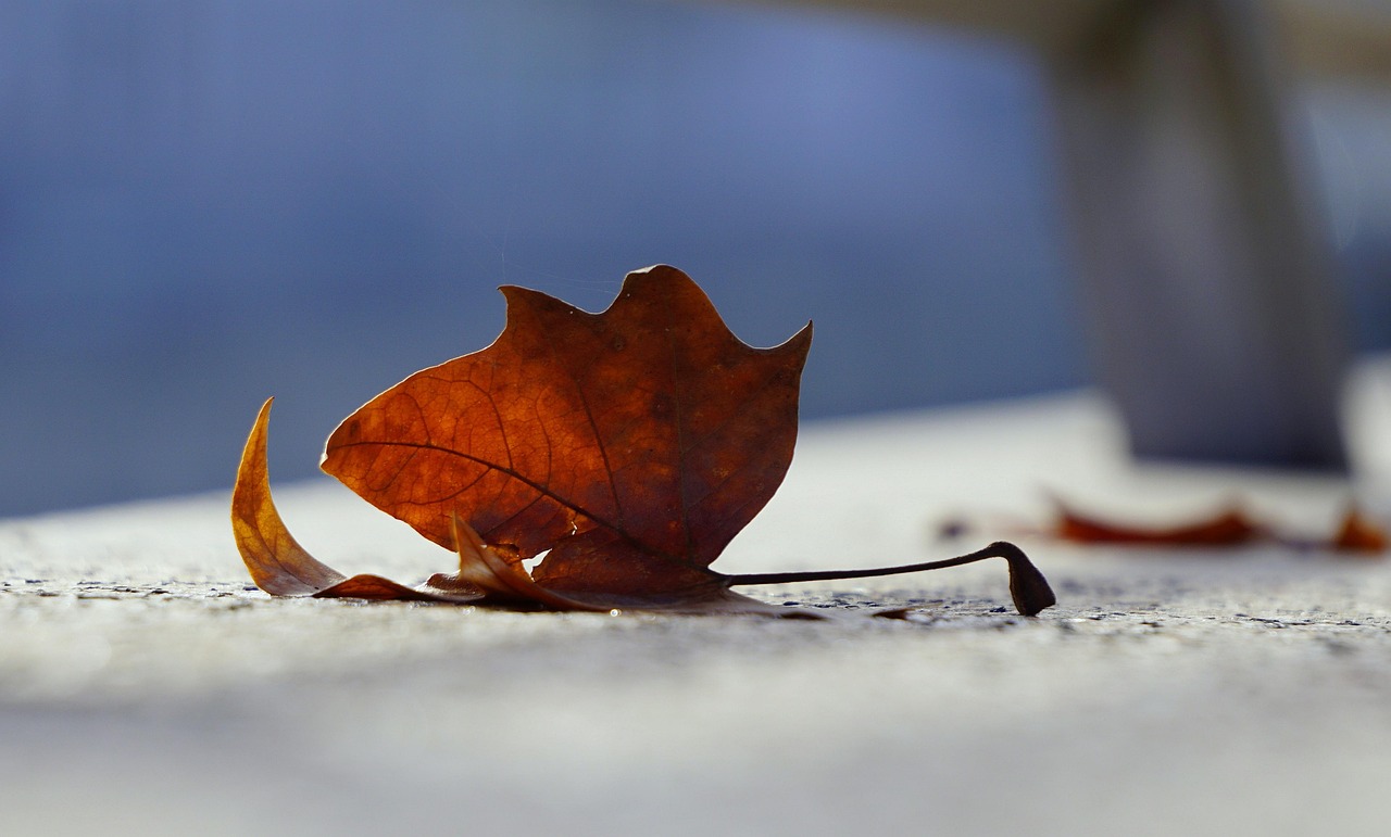 中國五大戰(zhàn)區(qū)省份劃分最新動態(tài)揭秘