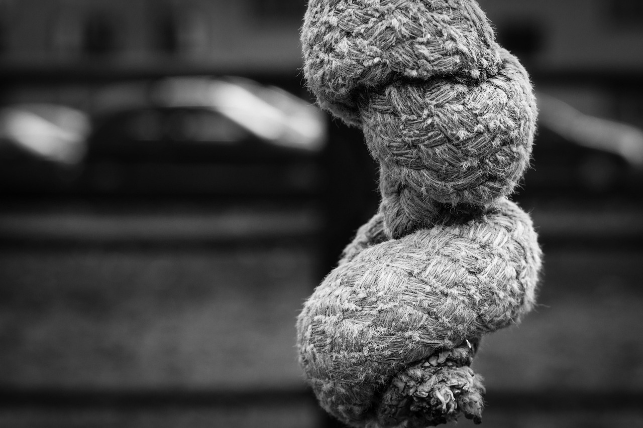 佳能RF鏡頭2023最新動態(tài)，引領(lǐng)攝影技術(shù)革新