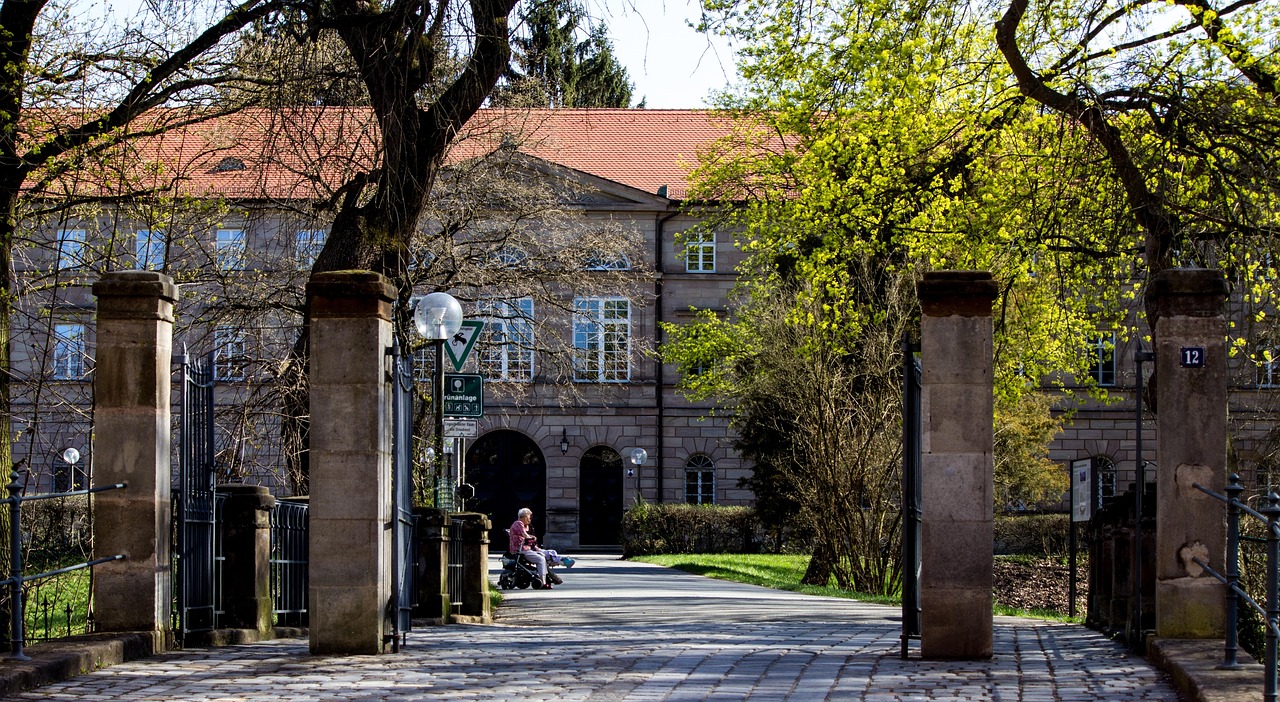 洛陽王城大道最新動態(tài)，城市發(fā)展的脈搏與未來展望
