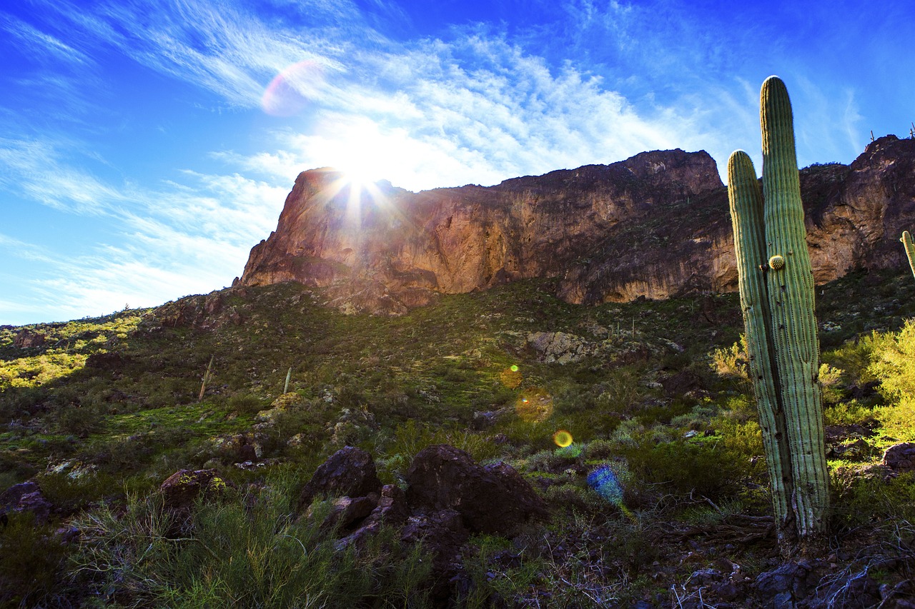 蘭州富士康最新動態(tài)，發(fā)展、影響與未來展望全面解讀