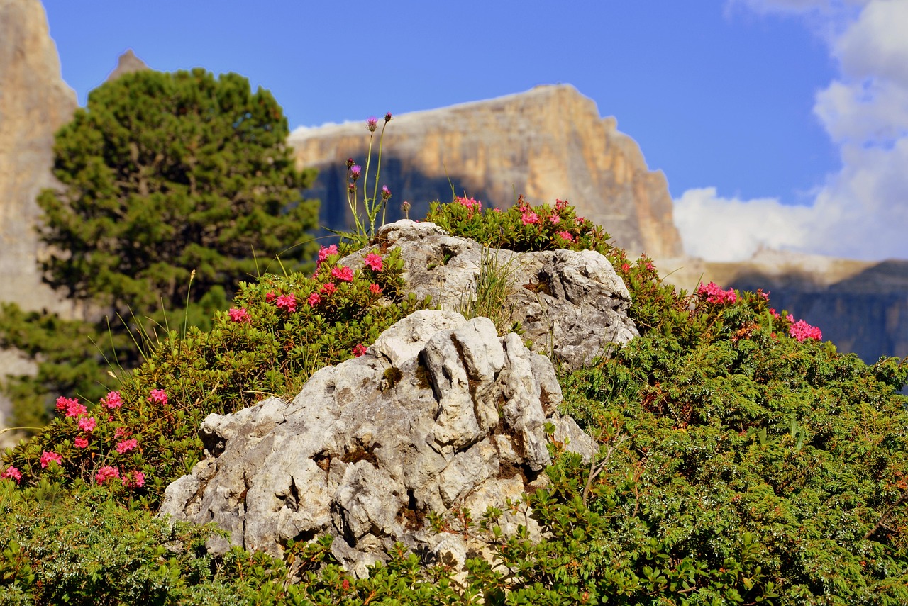 哈市道外區(qū)最新招聘動(dòng)態(tài)，崗位發(fā)布與影響分析