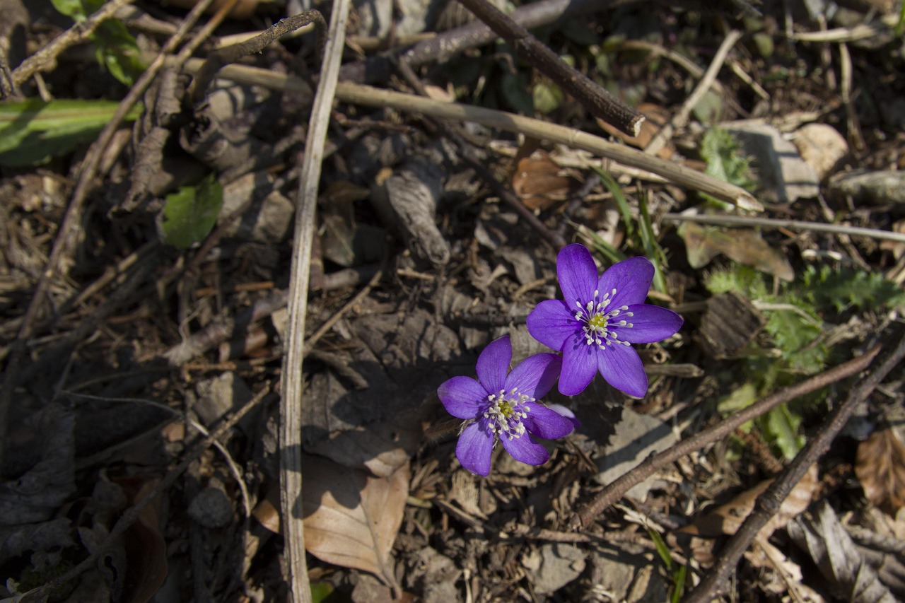 七平房棚戶區(qū)最新進(jìn)展與動態(tài)更新