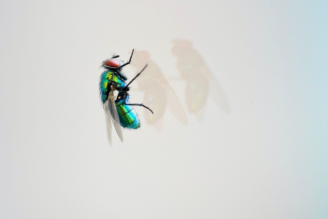 天天炫斗最新版2015年，游戲新體驗(yàn)與特色解析