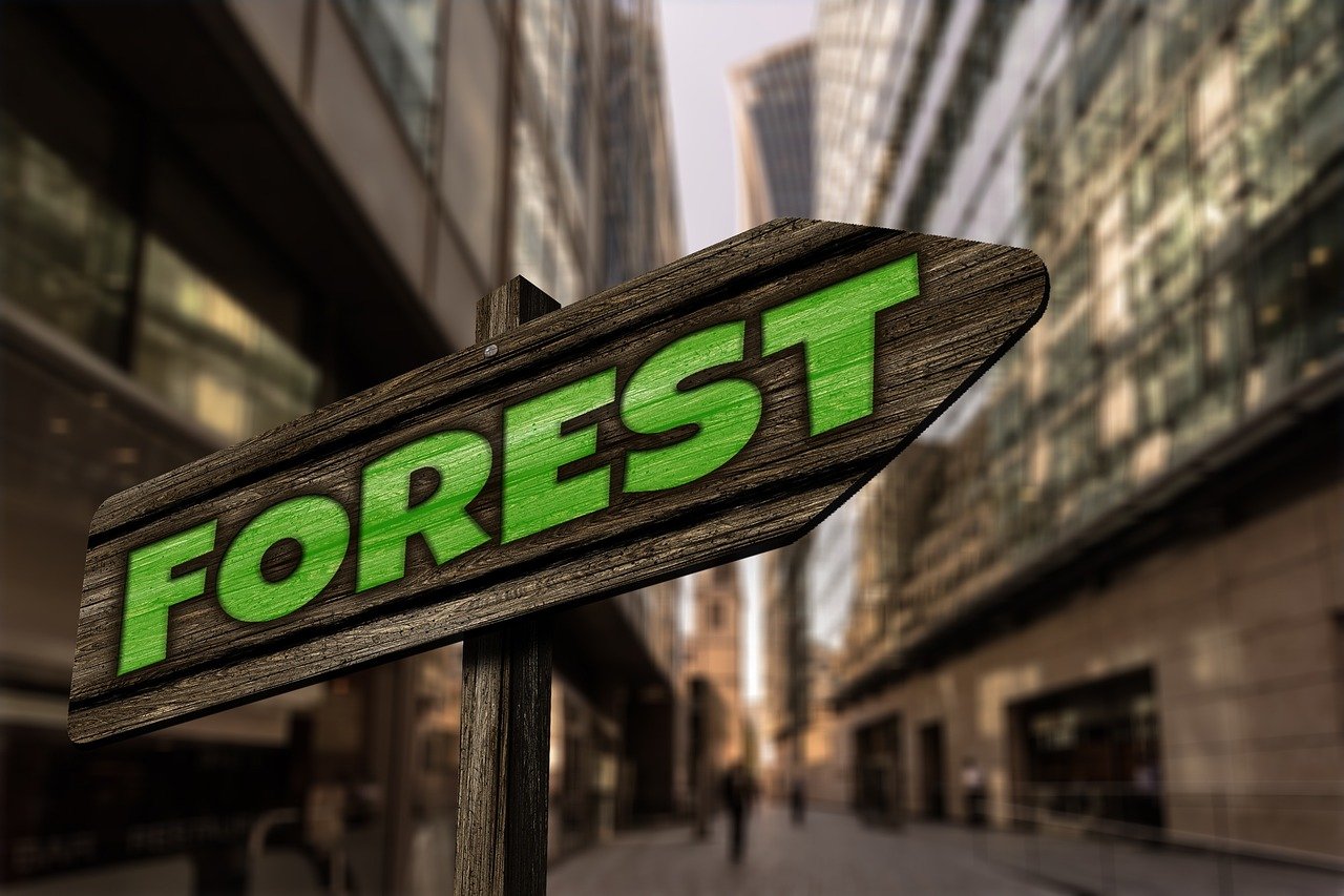 最新567彩票app下載體驗，探索最新版本的功能與優(yōu)勢