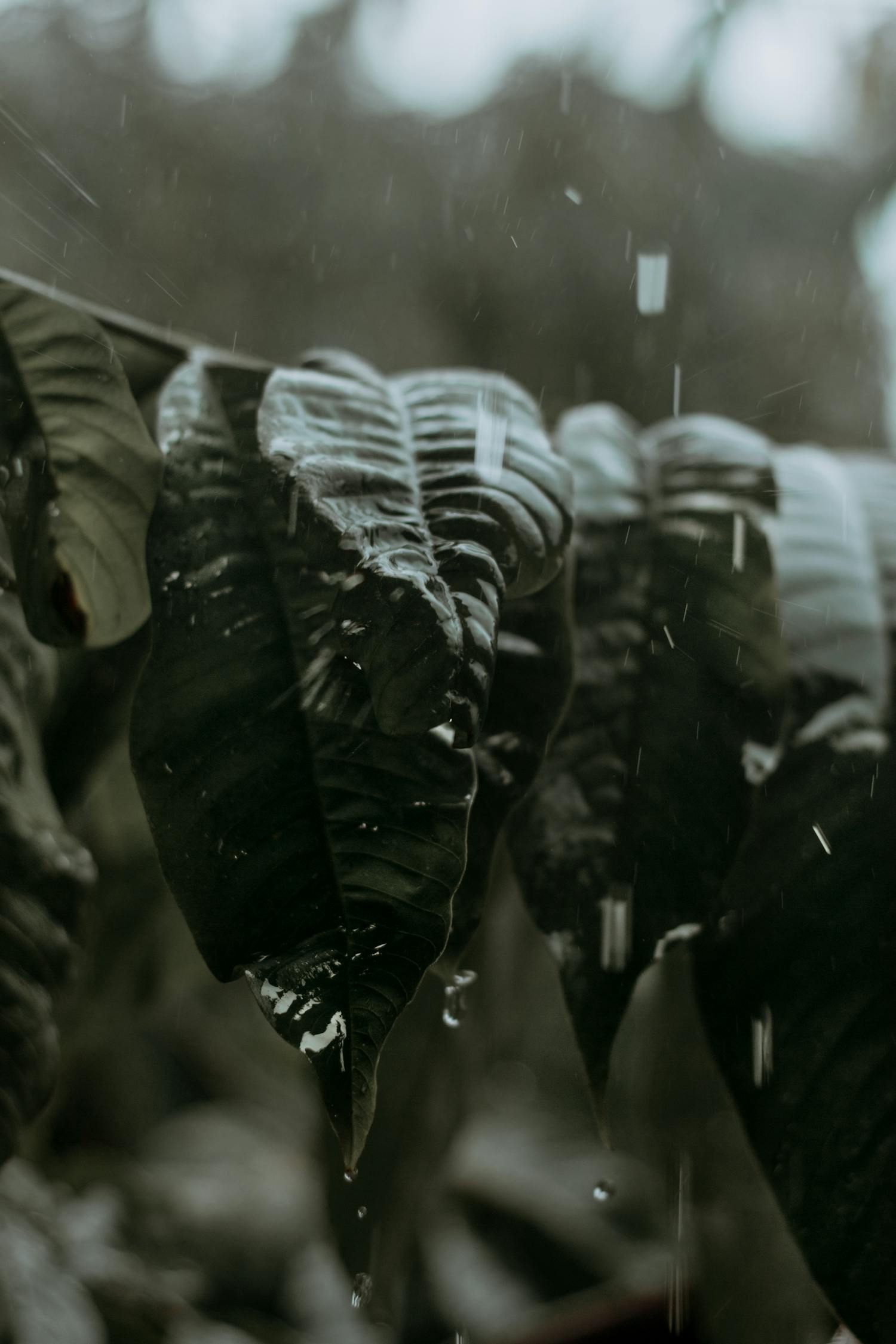 中超遼寧宏運(yùn)新賽季展望，蓄勢(shì)待發(fā)，最新動(dòng)態(tài)揭秘