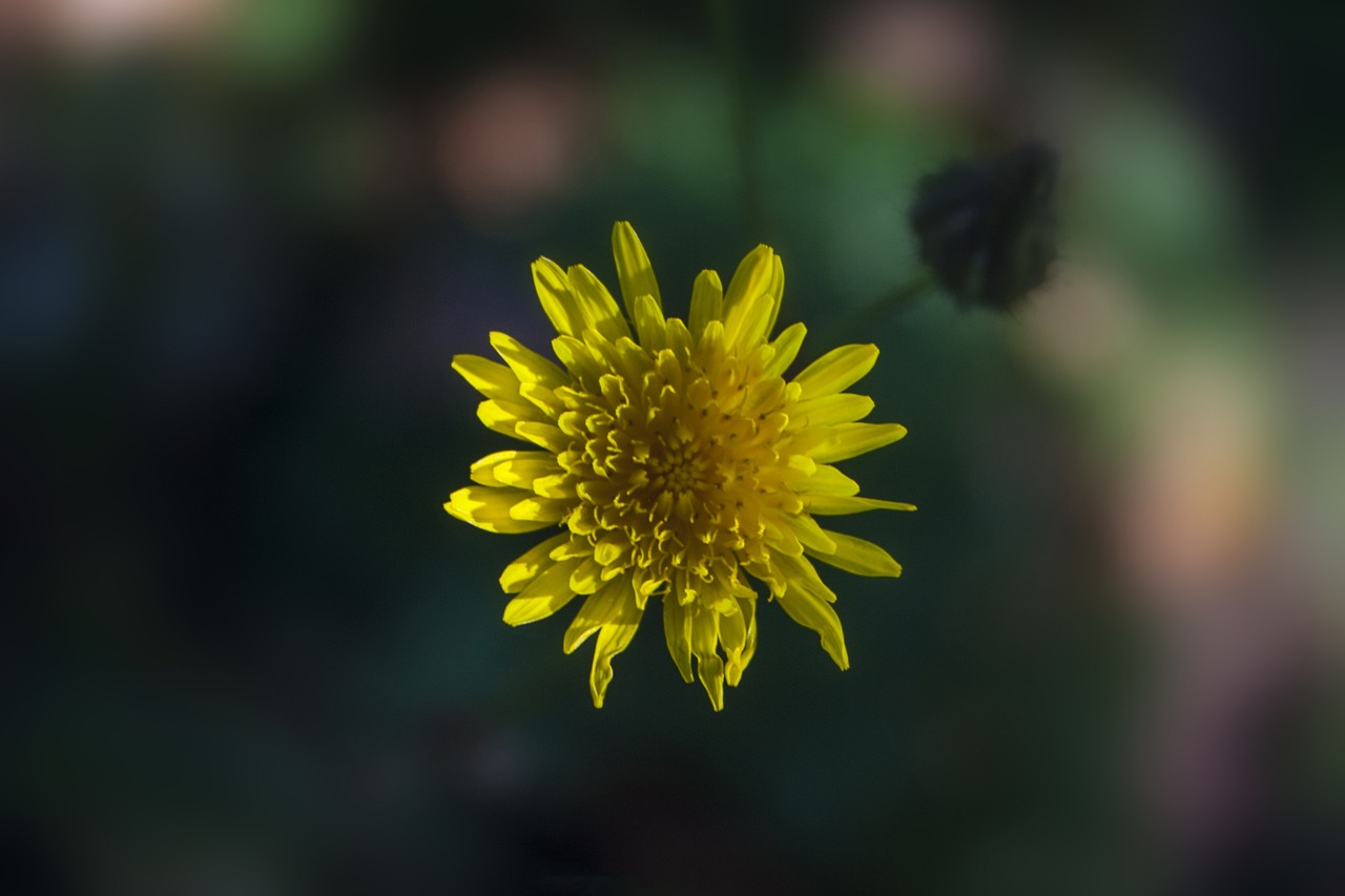 小欖九洲花園最新動(dòng)態(tài)與消息速遞