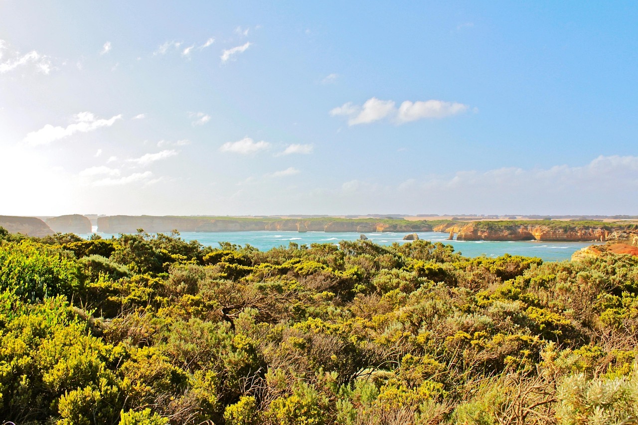 水洛鎮(zhèn)崖王村最新動態(tài)更新，最新消息匯總