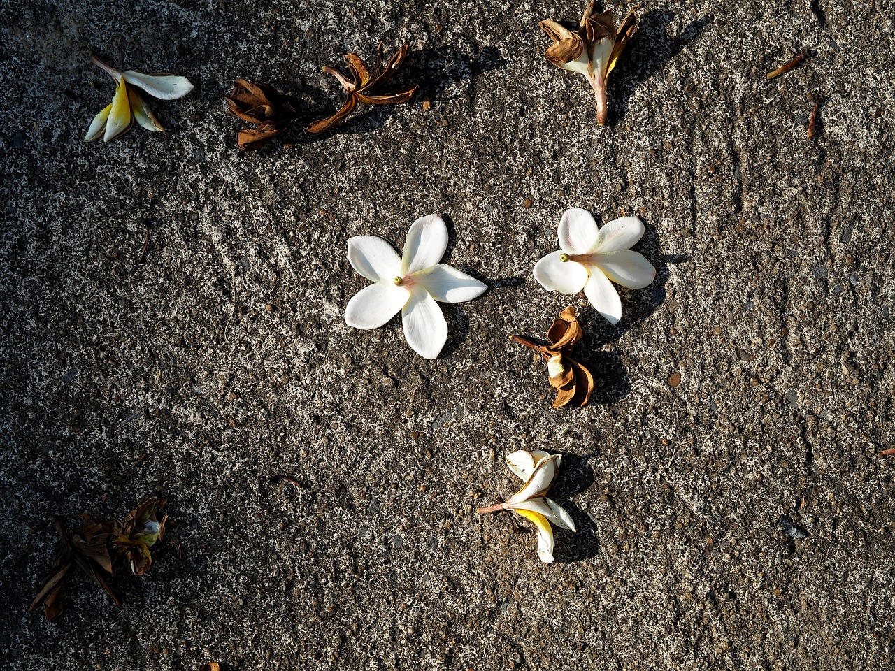 洪澤湖采砂最新動態(tài)更新，最新采砂消息揭秘